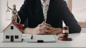 Intellectual Property Protection Lawyer